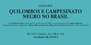 Seminário: Quilombo e Campesinato Negro no Brasil com Professor Flávio Gomes - capa