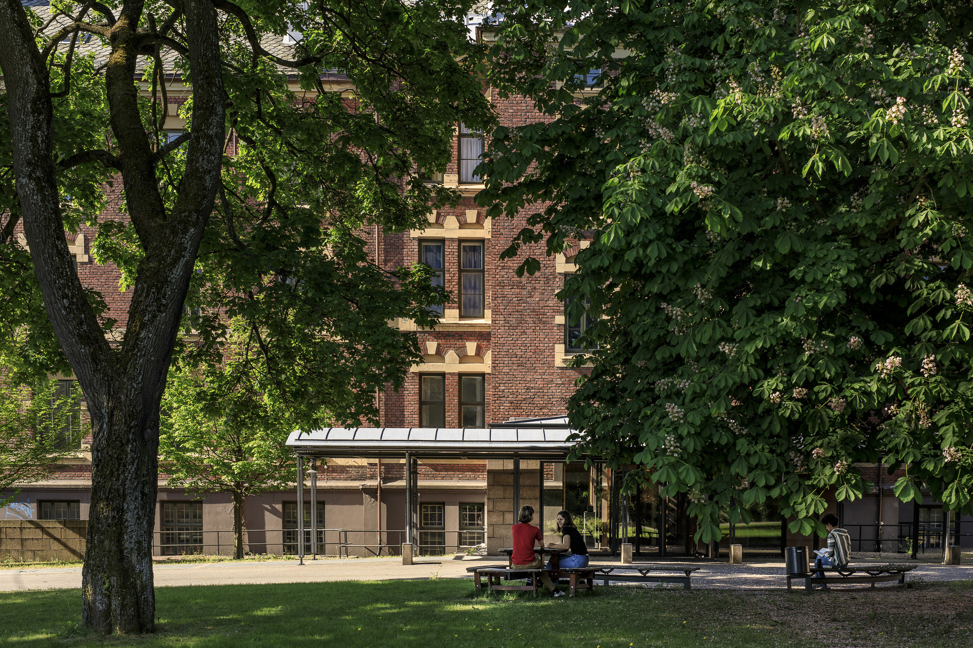 The City of Oslo announces new home for Oslo Biennial First Edition