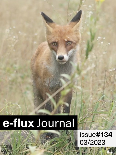 E-Flux Journal - Issue 134