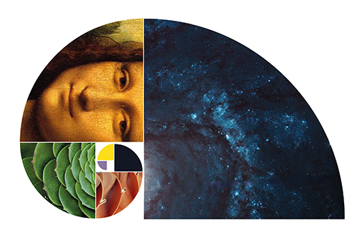 A relação entre ciência e arte, a partir de Da Vinci e Cildo Meireles, será tema de dois encontros