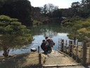 Ritsurin Garden in Takamatsu_Kagawa