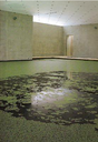Obra de Olafur Eliasson