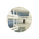 bienal