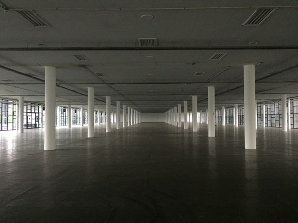 Dossiê Fundação Bienal de São Paulo