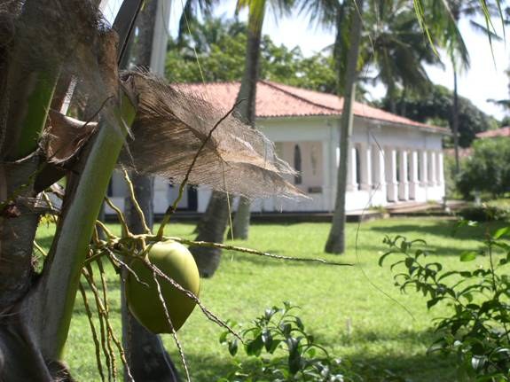 INSTITUTO SACATAR CALLING ARTISTS TO SPEND TWO MONTHS IN BRAZIL / ARTISTAS, VENHAM PASSAR DOIS MESES NO BRASIL!
