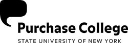 Seeking Director of the School of Art+Design at Purchase College, SUNY