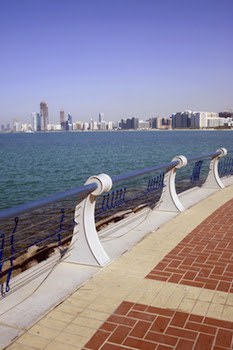  Faculty position: seeking a professor of Art History at NYU Abu Dhabi