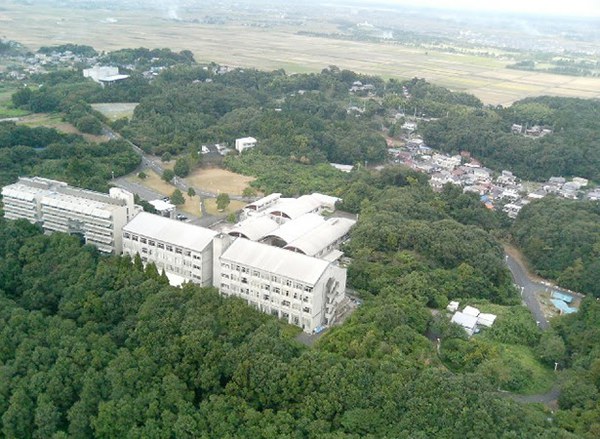 Call for applications: MFA in Global Art Practice