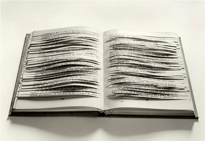 Cataclismo - Libros de artistas ediciones Los Sentidos