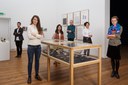 Curatorial Programme Final Project