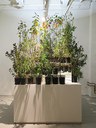 Final call for applications: Center for Curatorial Studies, Bard College