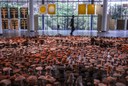 Bienal 2018 tem início com curadoria de artistas e exercício de reflexão
