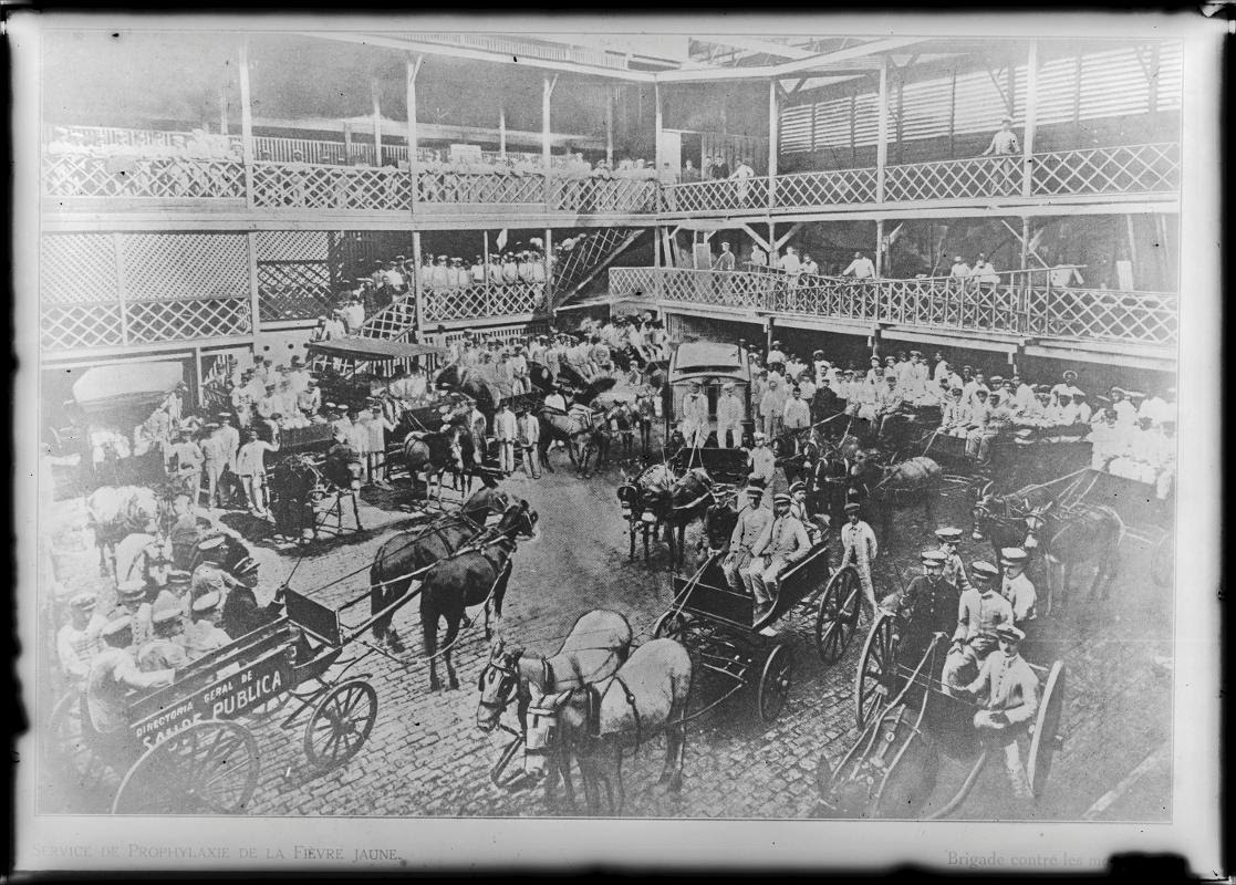 Brasiliana Fotográfica cinco anos | Debate online com Jaime Benchimol, Margareth Dalcolmo e Guilherme Wisnik