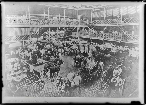Brasiliana Fotográfica cinco anos | Debate online com Jaime Benchimol, Margareth Dalcolmo e Guilherme Wisnik