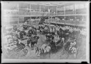 Brasiliana Fotográfica cinco anos | Debate online com Jaime Benchimol, Margareth Dalcolmo e Guilherme Wisnik