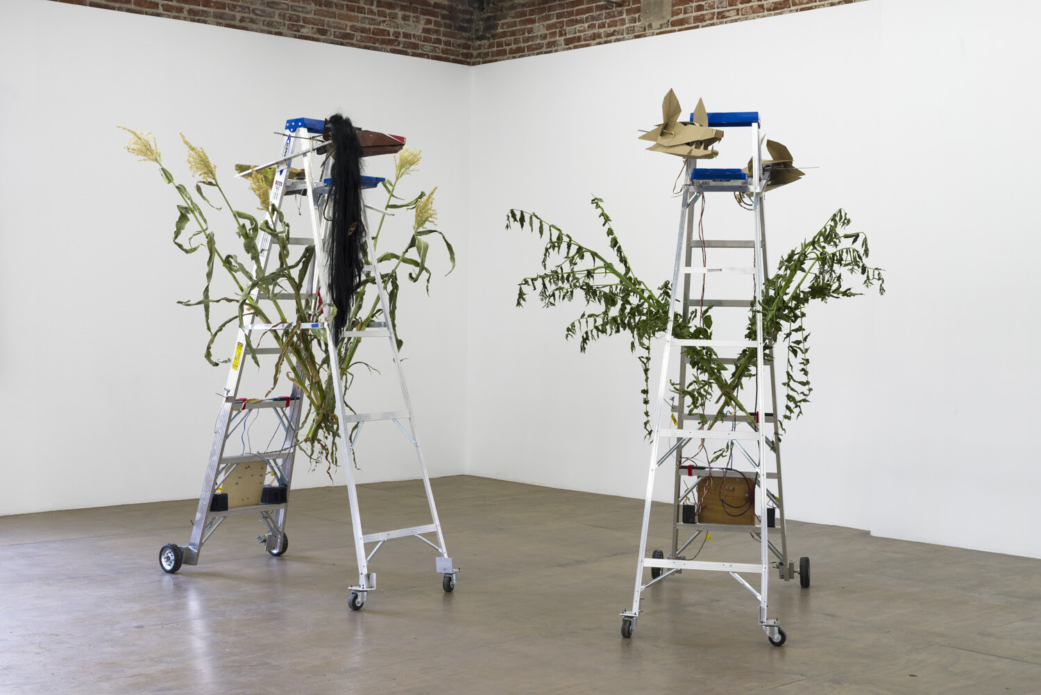 Taipei Biennial 2020: You and I Don’t Live on the Same Planet