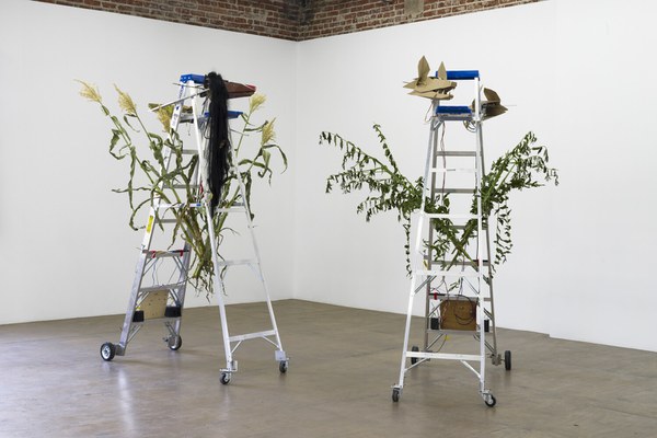 Taipei Biennial 2020: You and I Don’t Live on the Same Planet