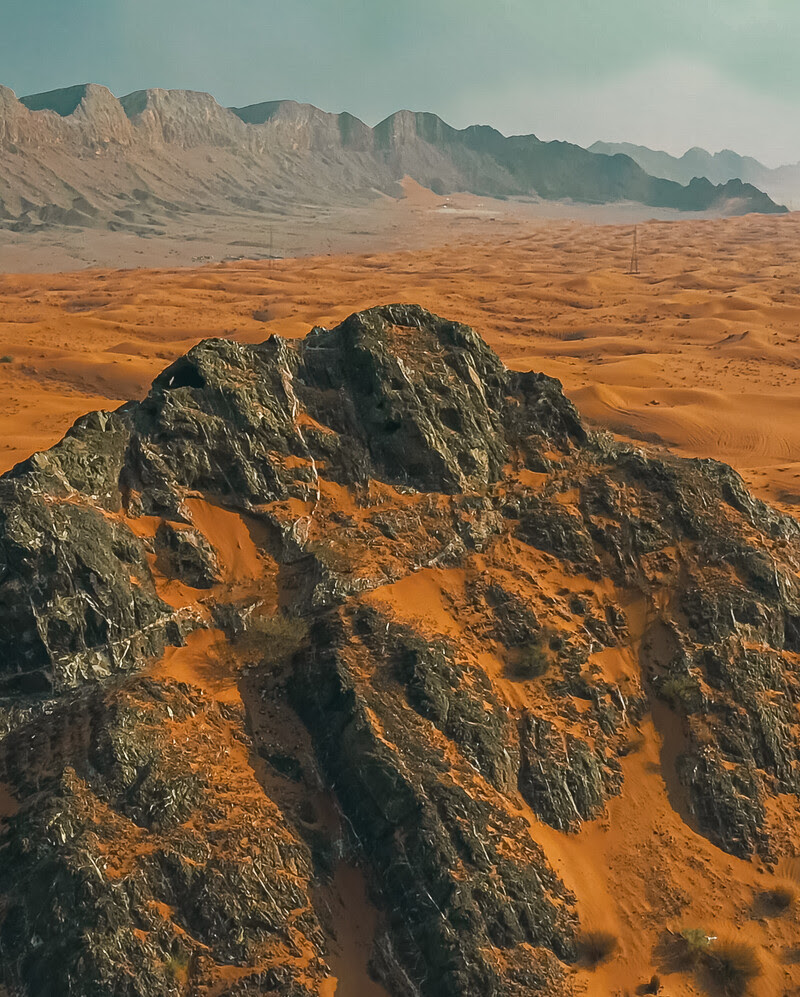 Sharjah Biennial 15: participating artists