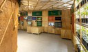 Museu das Culturas Indígenas exibe mostra sensorial sobre a Mata Atlântica