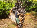 Ka’a Pûera: we are walking birds 	-  Brazilian Pavilion at the Venice Biennale