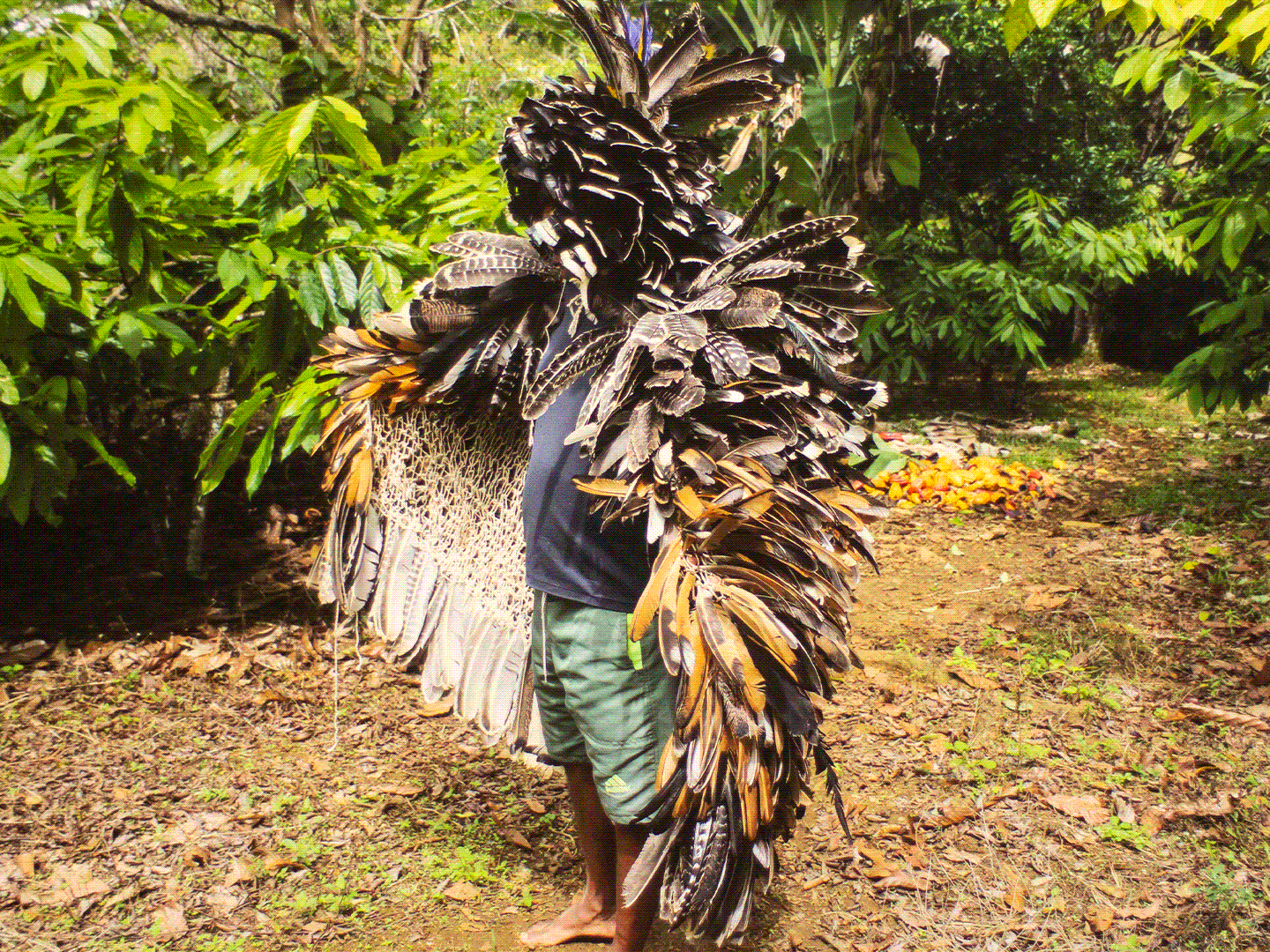Ka’a Pûera: we are walking birds 	-  Brazilian Pavilion at the Venice Biennale