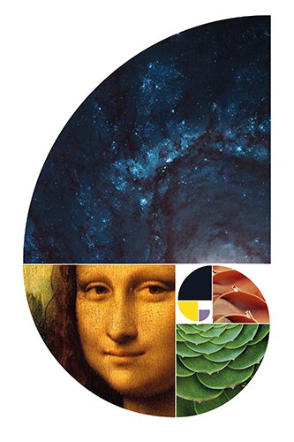 A relação entre ciência e arte, a partir de Da Vinci e Cildo Meireles, será tema de dois encontros