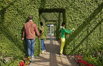 Open Field Artists-in-Residence presented by Walker Art Center