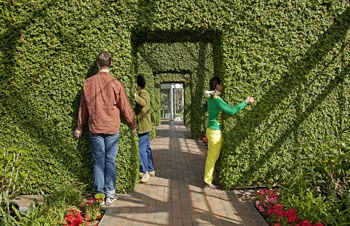 Open Field Artists-in-Residence presented by Walker Art Center