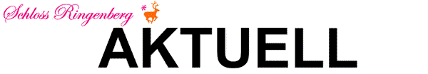 Call for Applications - smax: Curatorial Grants - Practice and Networking