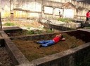 Plantio de grama - Belo Horizonte
