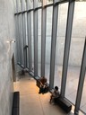 21_21_Design Sight_ inside