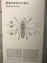 21_21_Design Sight_ exhibition