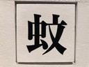 21_21_Design Sight_ exhibition