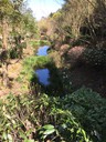 chichu garden