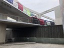 Garden Of Fine Arts