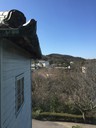 Meiji-mura Museum_2016