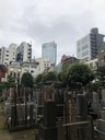 Mori Tower_from a cemetery viewpoint_Tokyo