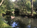 Nezu Museum garden