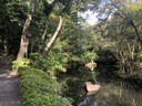 Nezu Museum garden