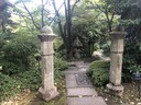 Nezu Museum garden