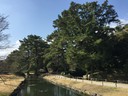 Ritsurin Garden in Takamatsu_Kagawa