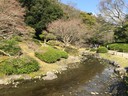 Ritsurin Garden in Takamatsu_Kagawa