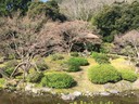 Ritsurin Garden in Takamatsu_Kagawa