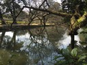 Ritsurin Garden in Takamatsu_Kagawa