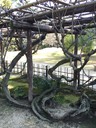 Ritsurin Garden in Takamatsu_Kagawa