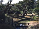 Ritsurin Garden in Takamatsu_Kagawa