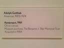 Museum of Modern Art_Forth Worth_Texas