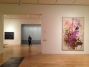 Museum of Modern Art_Forth Worth_Texas