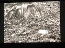 Keynote Speech: A Brazilian Amazon Forest Initiative - Sebastião Salgado