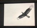 Keynote Speech: A Brazilian Amazon Forest Initiative - Sebastião Salgado
